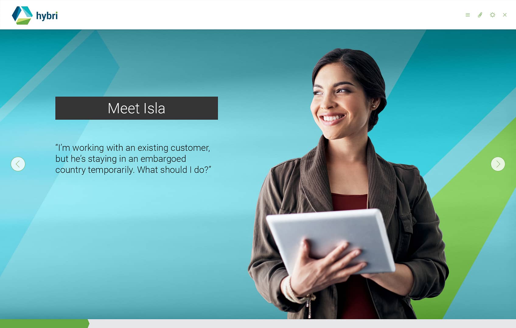 Flexible Customizations in training